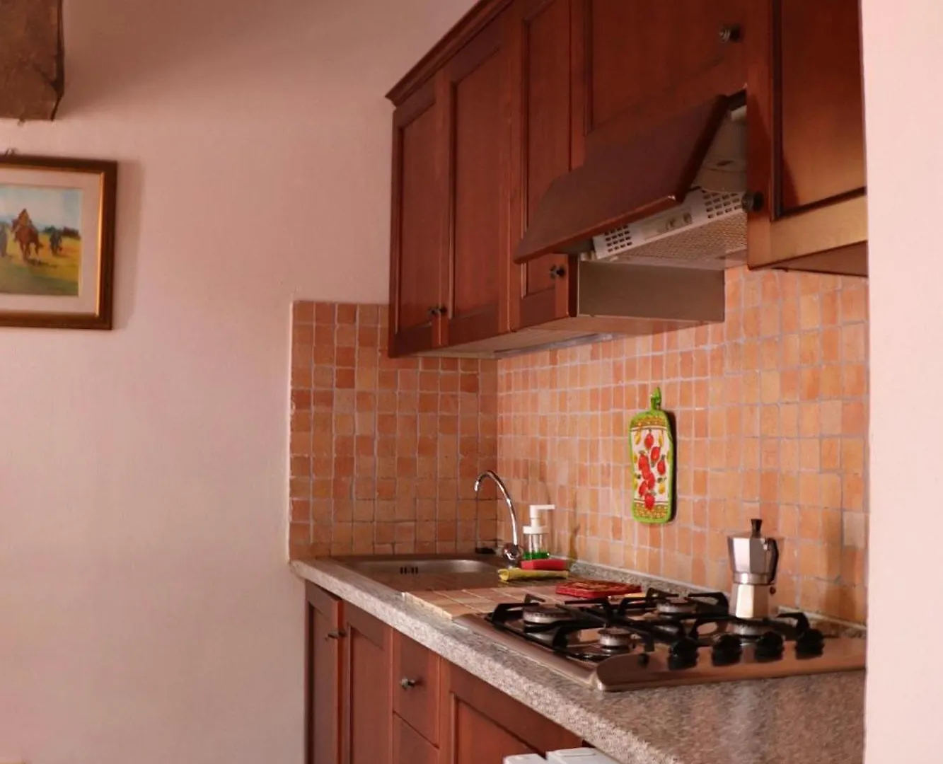 Apartment Appartamenti Capenti Arcidosso Italy